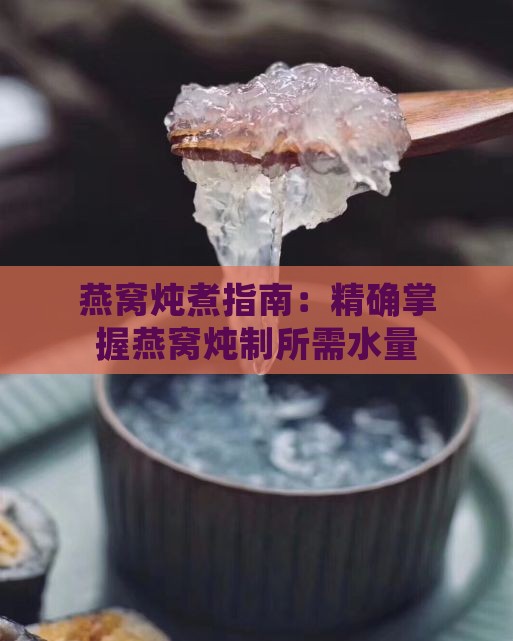 燕窝炖煮指南：精确掌握燕窝炖制所需水量