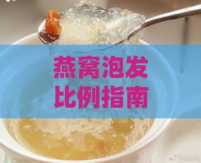 燕窝泡发比例指南：3克燕窝需用多少水量及详细泡发步骤