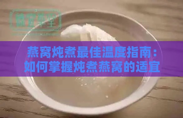 燕窝炖煮更佳温度指南：如何掌握炖煮燕窝的适宜温度与时长