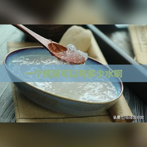 一个燕窝可以炖多少水啊