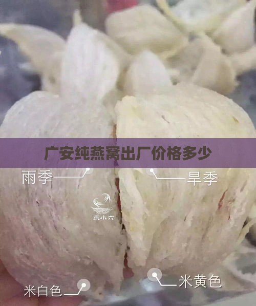 广安纯燕窝出厂价格多少