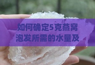 如何确定5克燕窝泡发所需的水量及泡发技巧详解