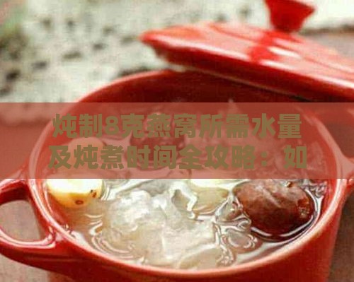 炖制8克燕窝所需水量及炖煮时间全攻略：如何科学搭配与食用