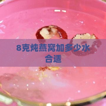 8克炖燕窝加多少水合适