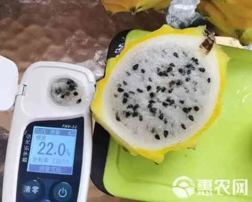 详解燕窝果每斤个数及三十一斤总量计算