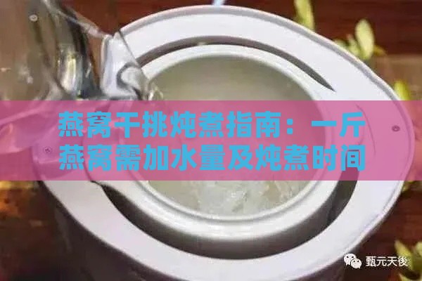 燕窝干挑炖煮指南：一斤燕窝需加水量及炖煮时间详解