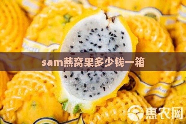 sam燕窝果多少钱一箱