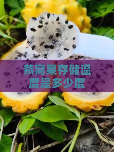 燕窝果存储温度是多少度