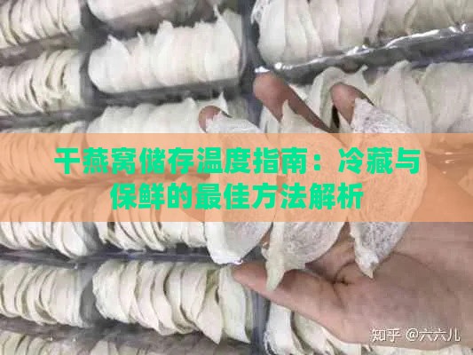 干燕窝储存温度指南：冷藏与保鲜的更佳方法解析