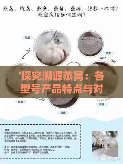 '探究溯源燕窝：各型号产品特点与对比分析'