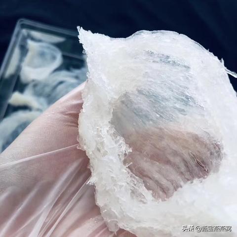 小鸟牌燕窝大燕盏多少钱