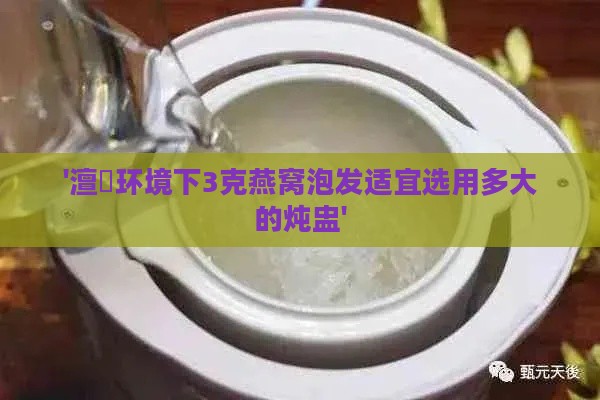 '澶氬环境下3克燕窝泡发适宜选用多大的炖盅'