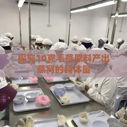 探究10克毛燕原料产出燕窝的具体量