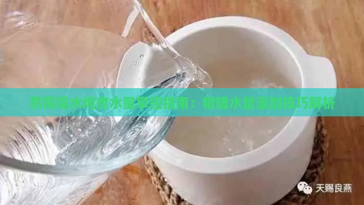 燕窝隔水炖煮水量掌控指南：精确水量添加技巧解析