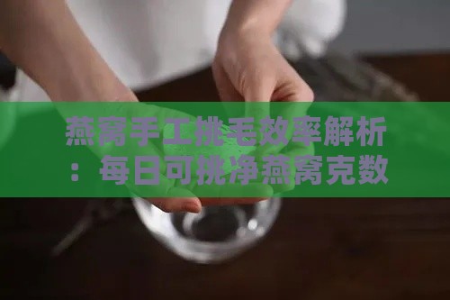 燕窝手工挑毛效率解析：每日可挑净燕窝克数与技巧指南