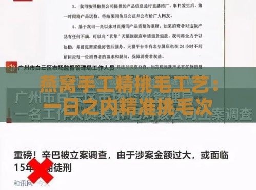 燕窝手工精挑毛工艺：一日之内精准挑毛次数解析