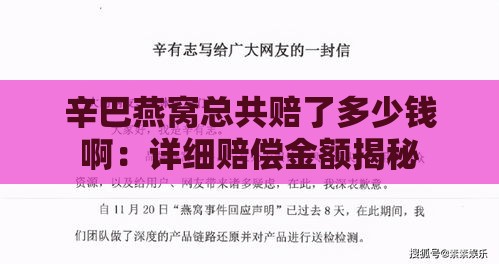 辛巴燕窝总共赔了多少钱啊：详细赔偿金额揭秘