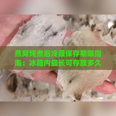 燕窝炖煮后冷藏保存期限指南：冰箱内最长可存放多久及保鲜技巧