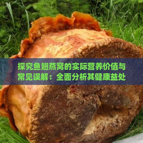 探究鱼翅燕窝的实际营养价值与常见误解：全面分析其健康益处与潜在风险