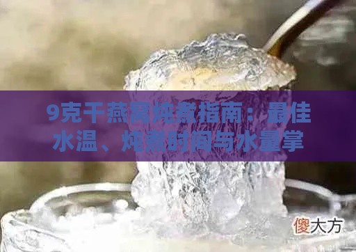 9克干燕窝炖煮指南：更佳水温、炖煮时间与水量掌握全解析