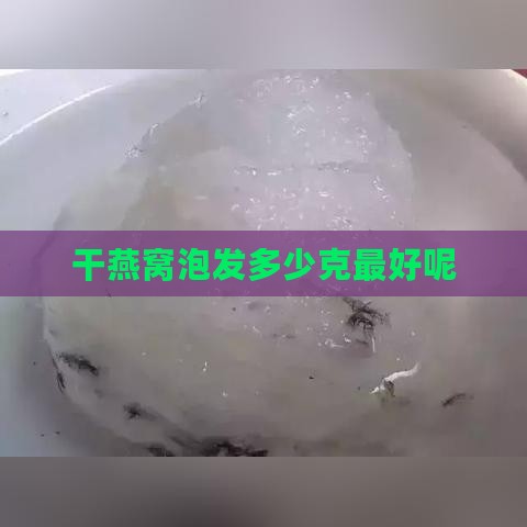 干燕窝泡发多少克更好呢