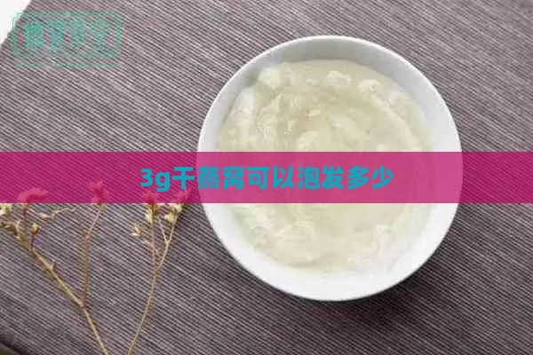 3g干燕窝可以泡发多少