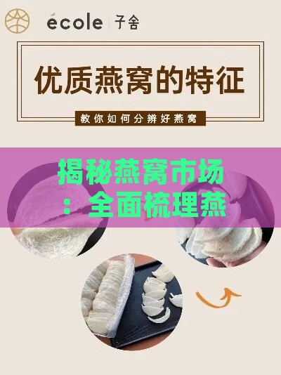 揭秘燕窝市场：全面梳理燕窝产品种类及选购指南