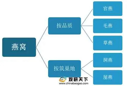 燕窝产业：揭秘生产知名燕窝的领先企业阵容