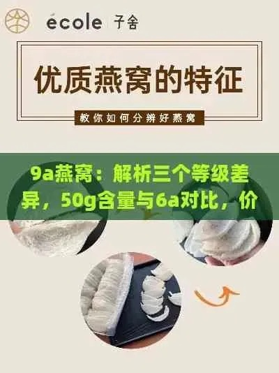 燕窝价格一览：9a级燕窝市场行情与每克详细报价解析