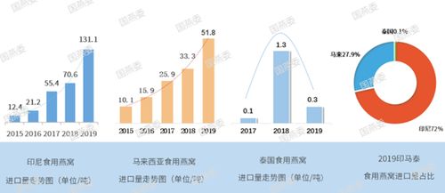 探究：40克燕窝究竟包含多少根及其营养价值解析