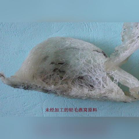 燕窝重量换算：45克燕窝等同于多少克及其它常见重量单位转换指南