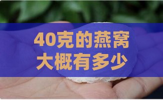 40克的燕窝大概有多少