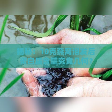 揭秘：10克燕窝泡发后蛋白质含量究竟几何？