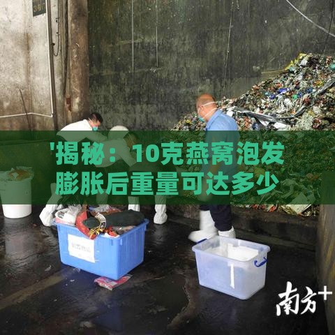 '揭秘：10克燕窝泡发膨胀后重量可达多少克？'