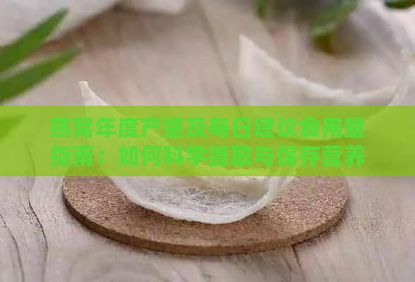 燕窝年度产量及每日建议食用量指南：如何科学摄取与保存营养