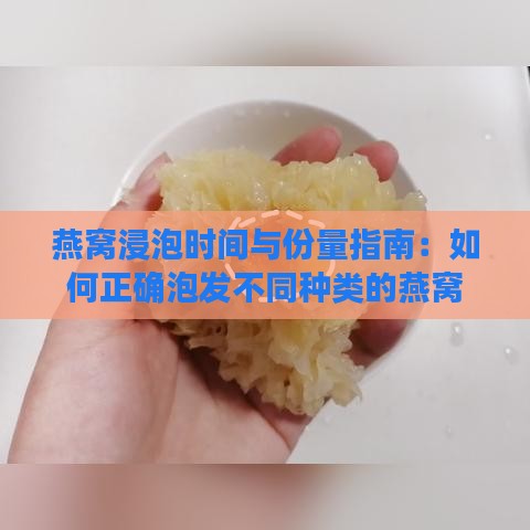 燕窝浸泡时间与份量指南：如何正确泡发不同种类的燕窝