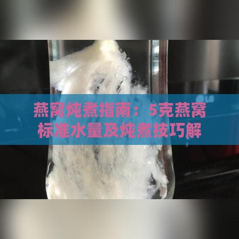 燕窝炖煮指南：5克燕窝标准水量及炖煮技巧解析