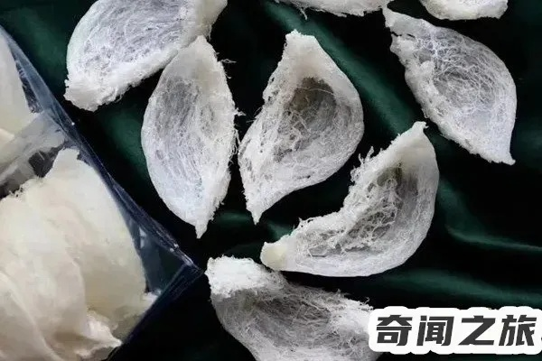 '燕窝市场价格盘点：各类燕窝品种与一斤价格一览'