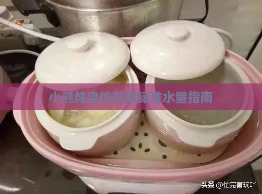 小熊炖盅炖燕窝标准水量指南