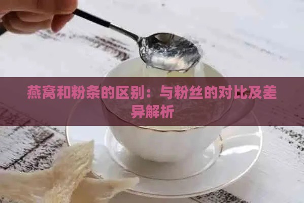 燕窝和粉条的区别：与粉丝的对比及差异解析