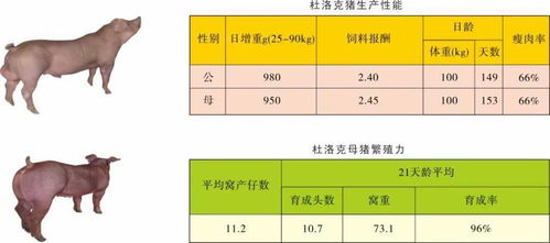 '精确调配：21克燕窝需加水量指南'