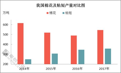 燕窝价格一览：不同、规格与市场行情对比分析