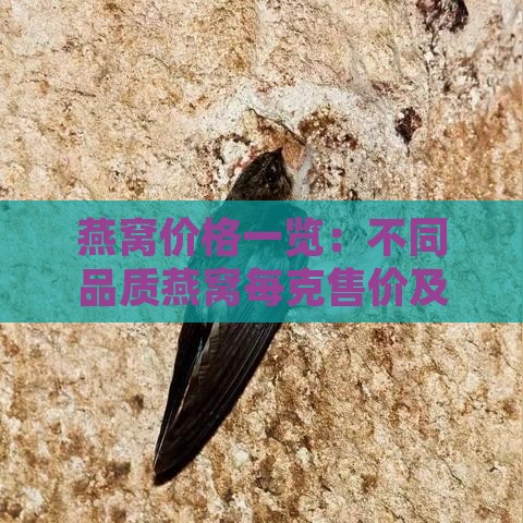 燕窝价格一览：不同品质燕窝每克售价及更佳购买渠道推荐