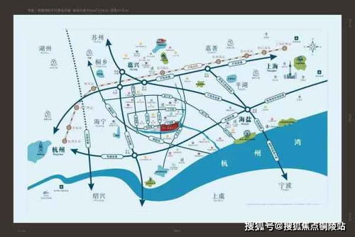 泰国燕窝市场价格解析：探究正宗泰国燕窝价格详情