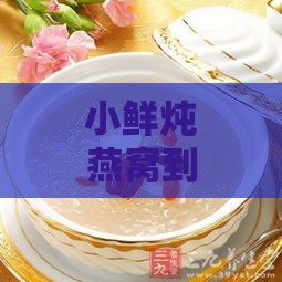 小鲜炖燕窝到底怎么样：口感如何、配料表及价格一览