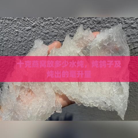 十克燕窝放多少水炖，炖鸽子及炖出的毫升量