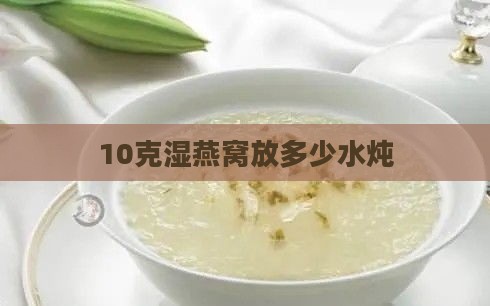 10克湿燕窝放多少水炖