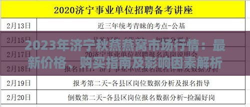 2023年济宁秋燕燕窝市场行情：最新价格、购买指南及影响因素解析