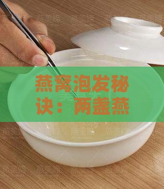 燕窝泡发秘诀：两盏燕窝泡制需水量解析