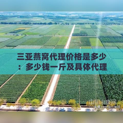 三亚燕窝代理价格是多少：多少钱一斤及具体代理费用